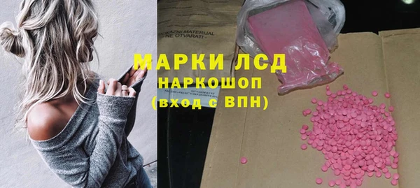 винт Алзамай
