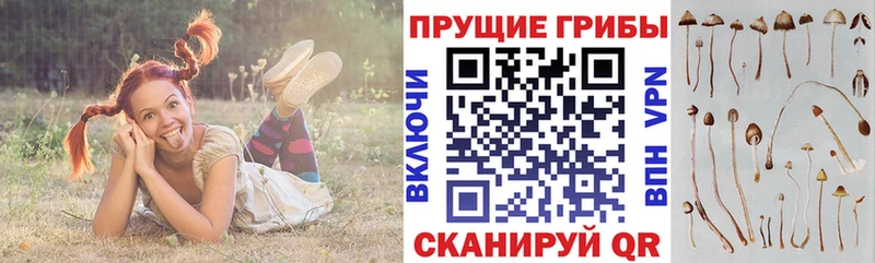 Галлюциногенные грибы прущие грибы Воткинск